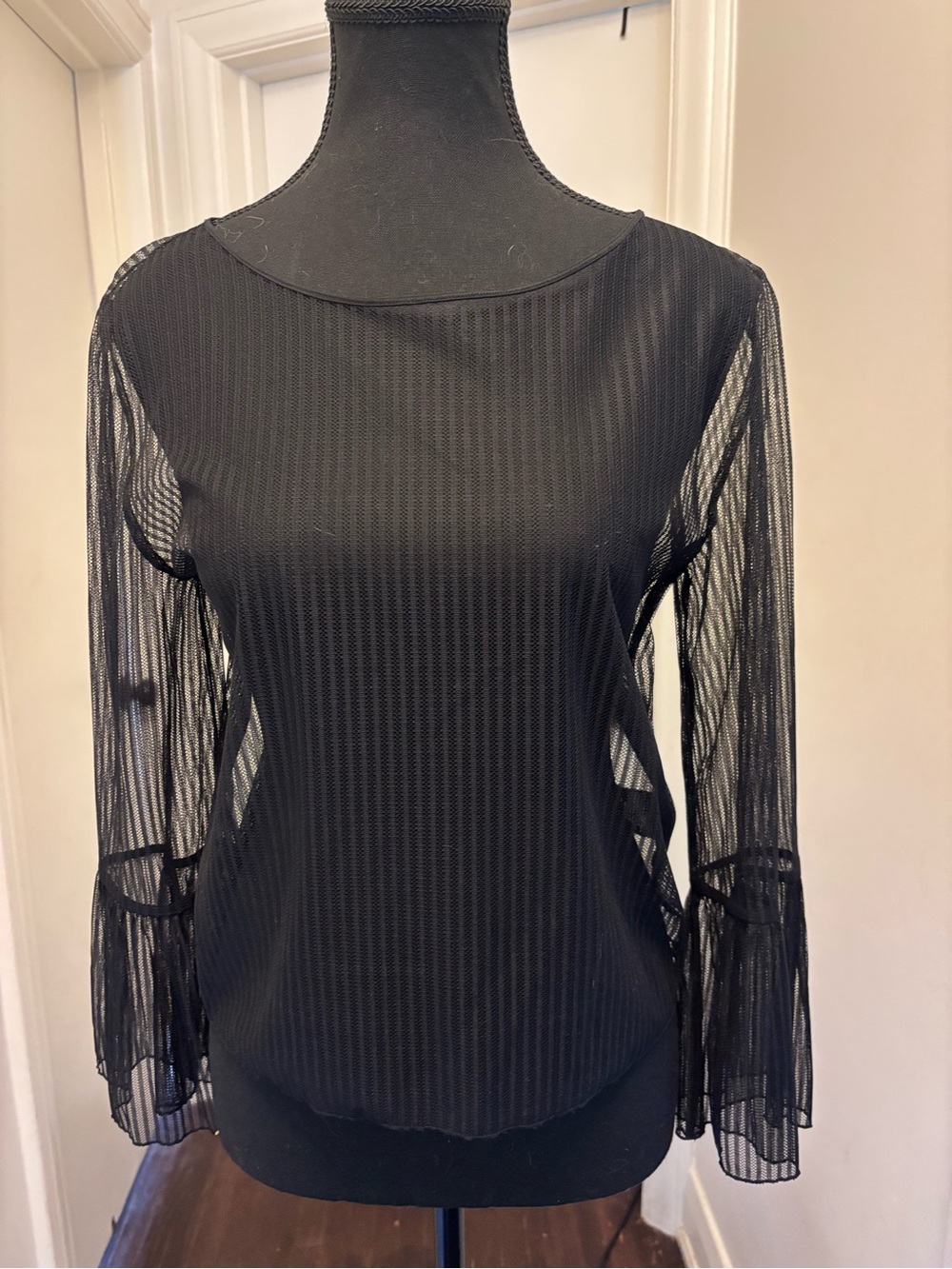 Aritzia Babaton Sheer Long-Sleeve Women's Top